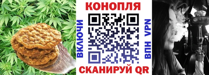 Canna-Cookies марихуана  как найти закладки  Катайск 
