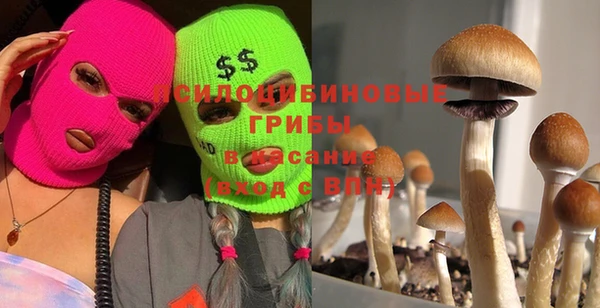 скорость Осинники