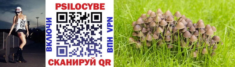 Псилоцибиновые грибы Psilocybe  Катайск 